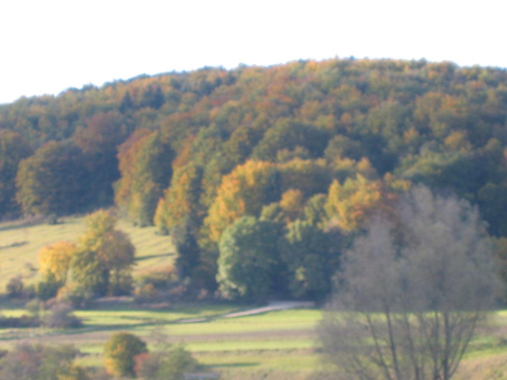 Gasthof Zum Lamm Gomadingen Dış mekan fotoğraf